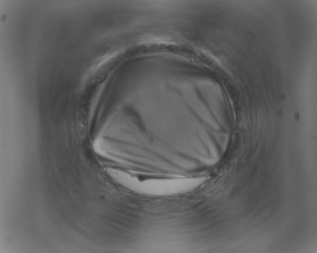 X0000078311303200612011849