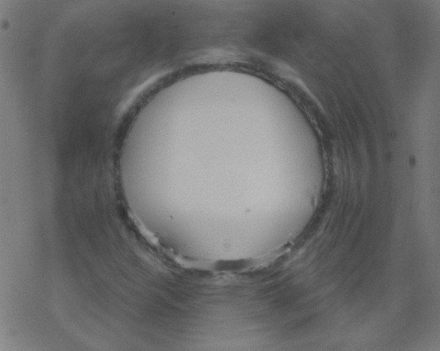 X0000078311304200612011849