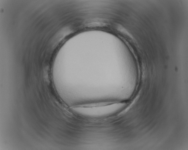 X0000078311305200612011849