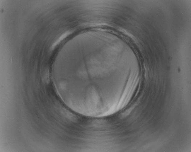 X0000078311306200612011849