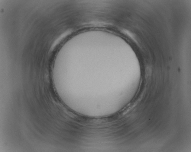 X0000078311307200612011849