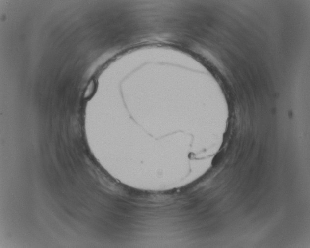 X0000078311308200612011849