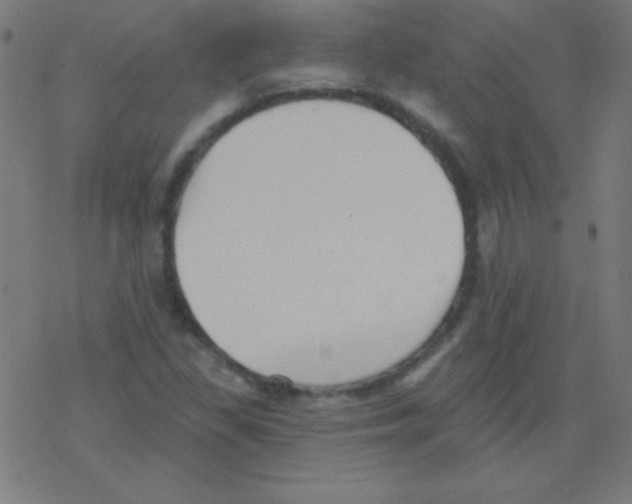 X0000078311309200612011849