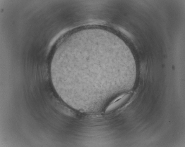 X0000078311310200612011849