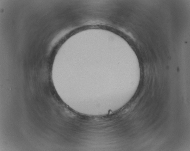 X0000078311311200612011849