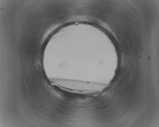 X0000078311312200612011849