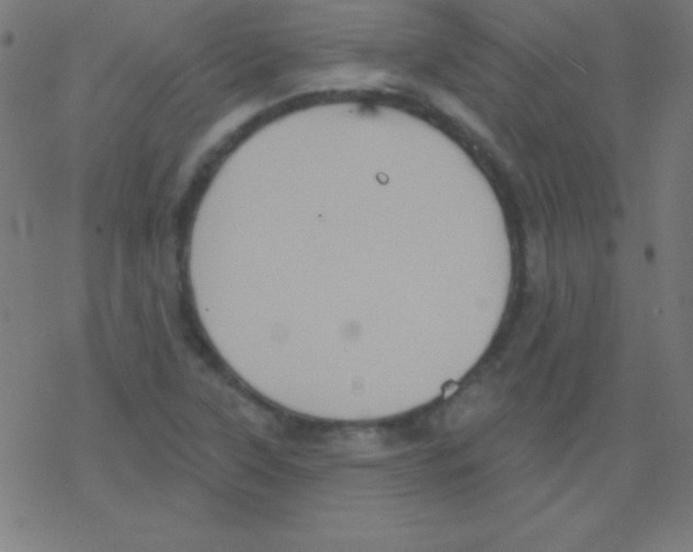 X0000078311315200612011849