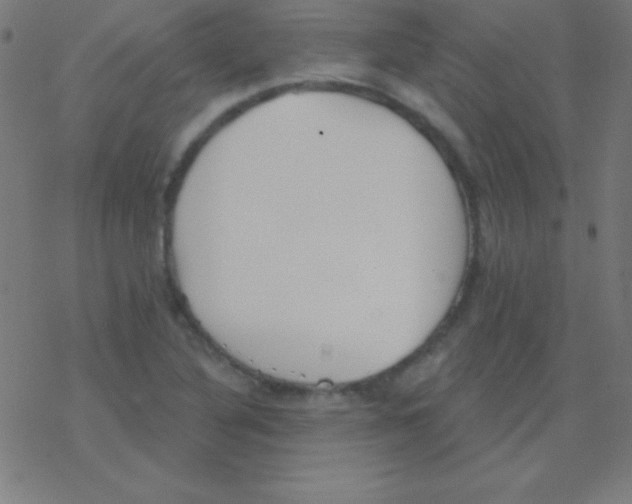 X0000078311316200612011849