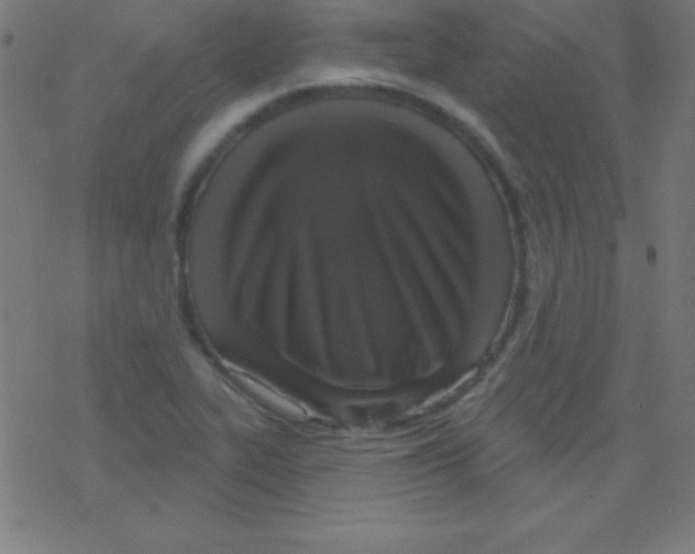 X0000078311319200612011850