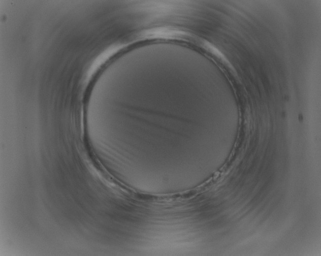 X0000078311323200612011850