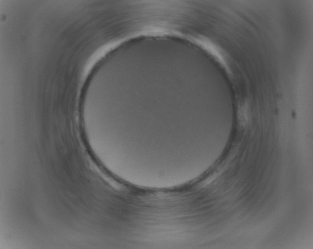 X0000078311327200612011850