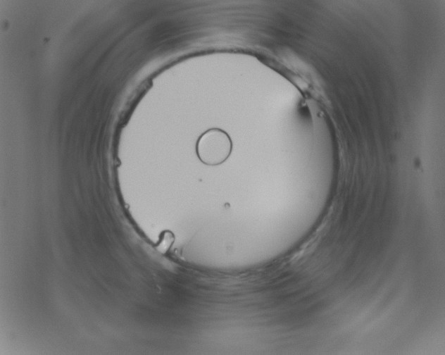 X0000078311334200612011850