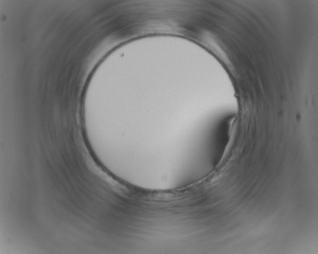 X0000078311339200612011850