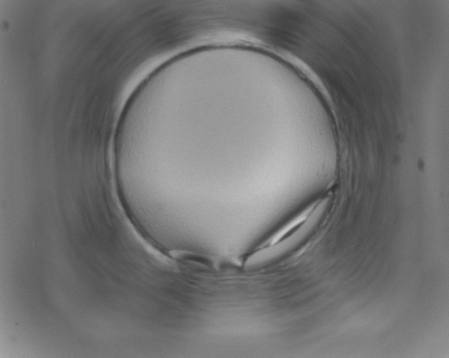 X0000078311343200612011850