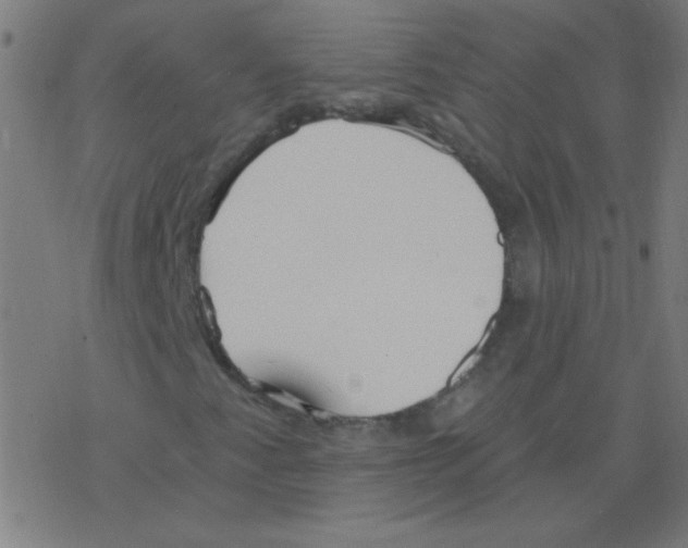 X0000078311345200612011849