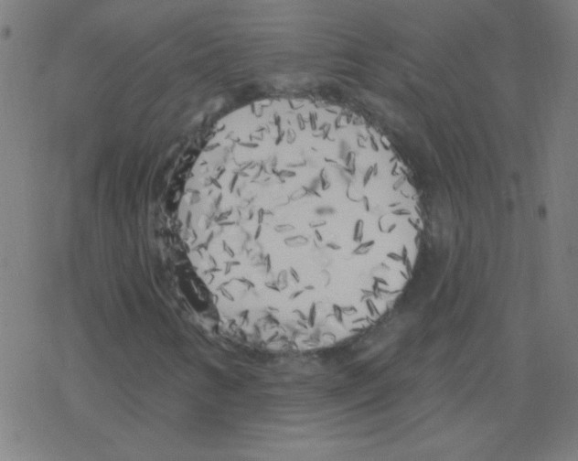 X0000078311346200612011849