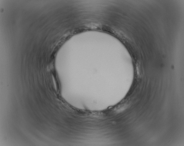 X0000078311347200612011849