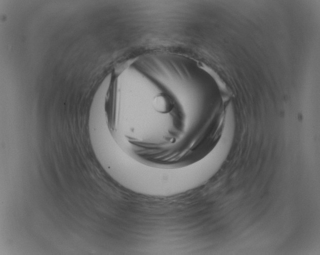 X0000078311348200612011849