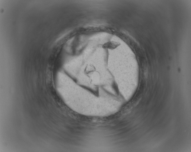 X0000078311350200612011849