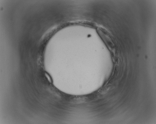 X0000078311351200612011849