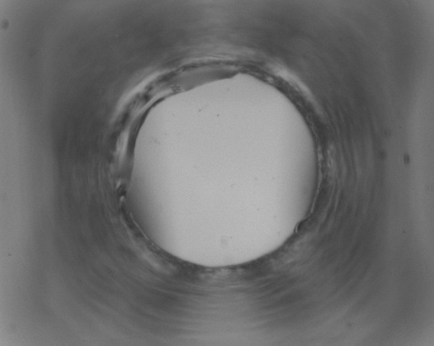 X0000078311352200612011849