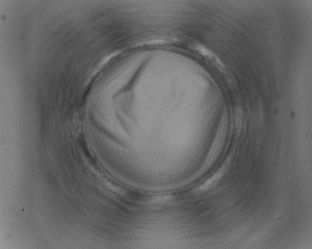 X0000078311353200612011849