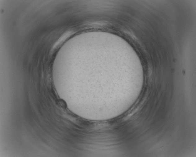 X0000078311354200612011849