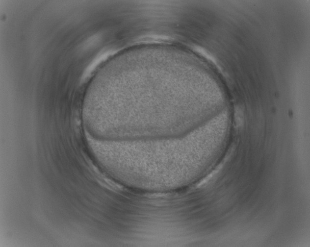 X0000078311355200612011849