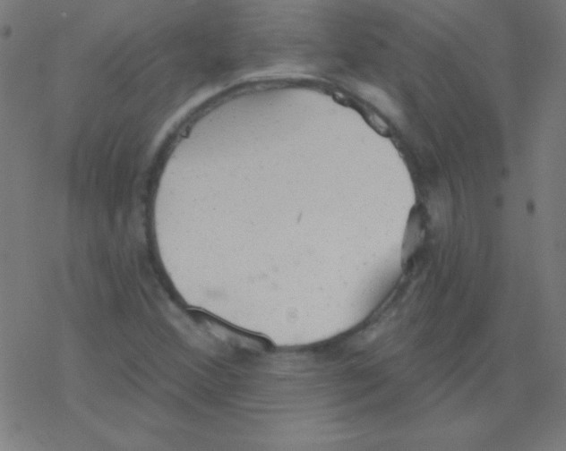 X0000078311356200612011849