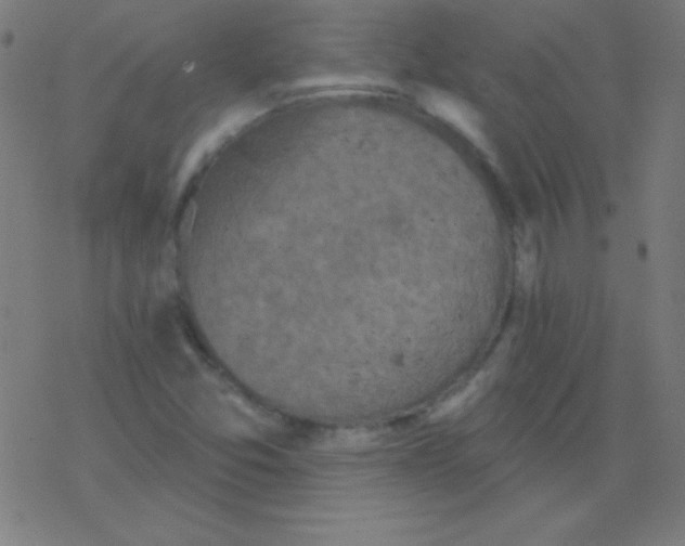 X0000078311357200612011849