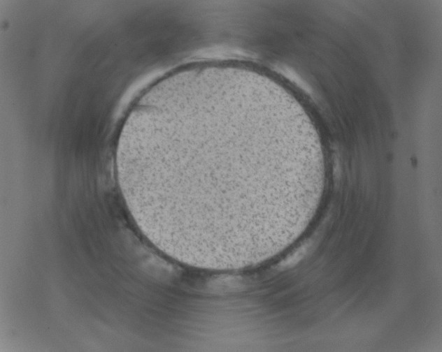 X0000078311358200612011849