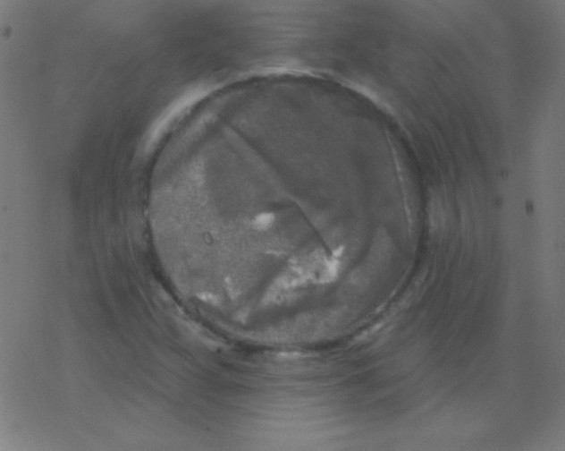 X0000078311359200612011849