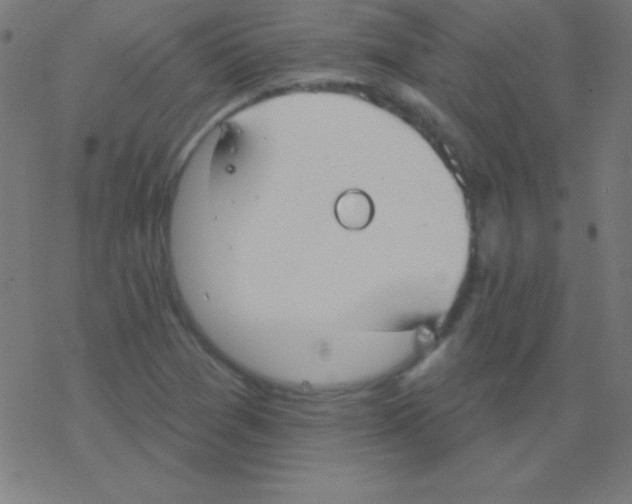 X0000078311361200612011849