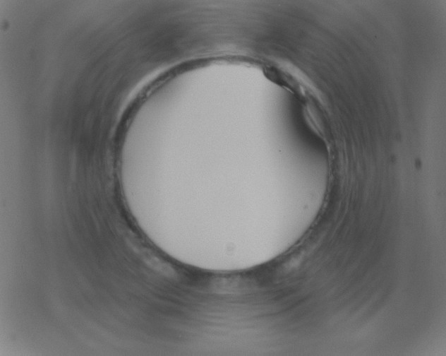 X0000078311364200612011849