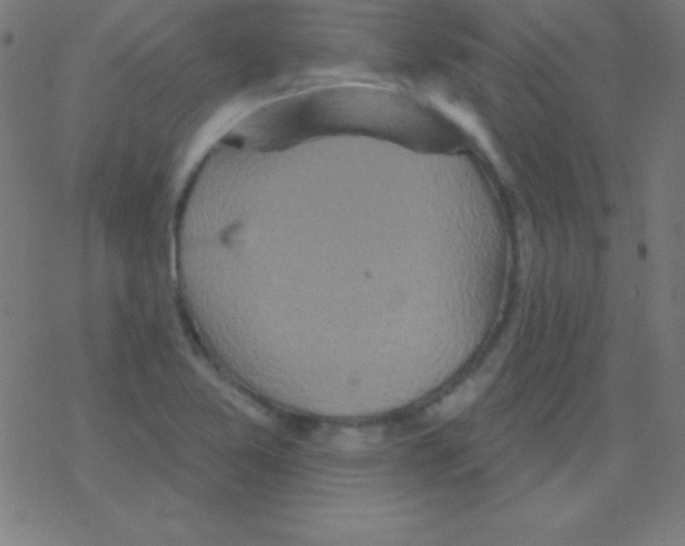 X0000078311365200612011849