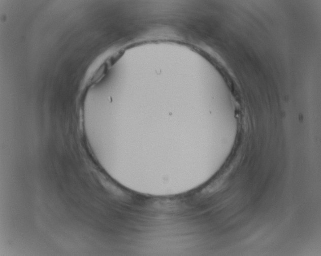 X0000078311366200612011849