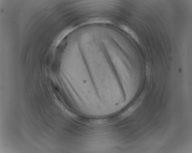 X0000078311369200612011849