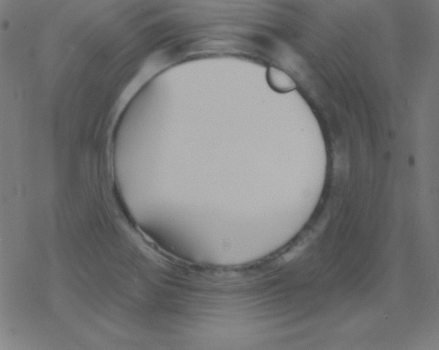 X0000078311370200612011849