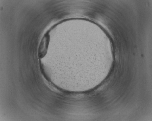 X0000078311372200612011849