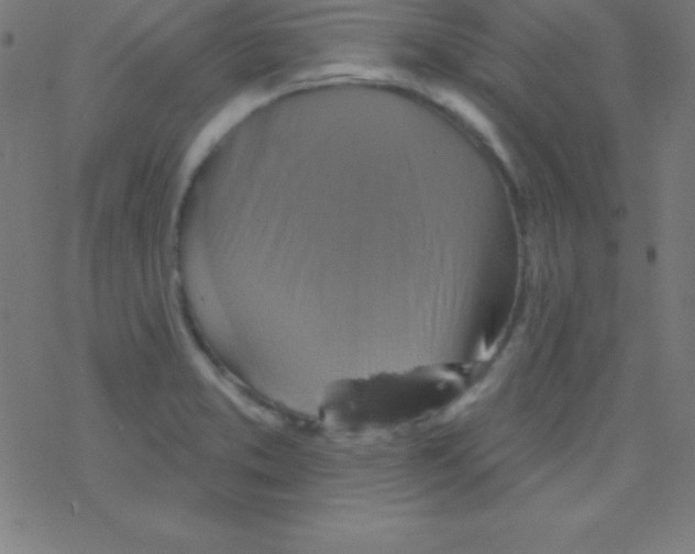 X0000078311373200612011849