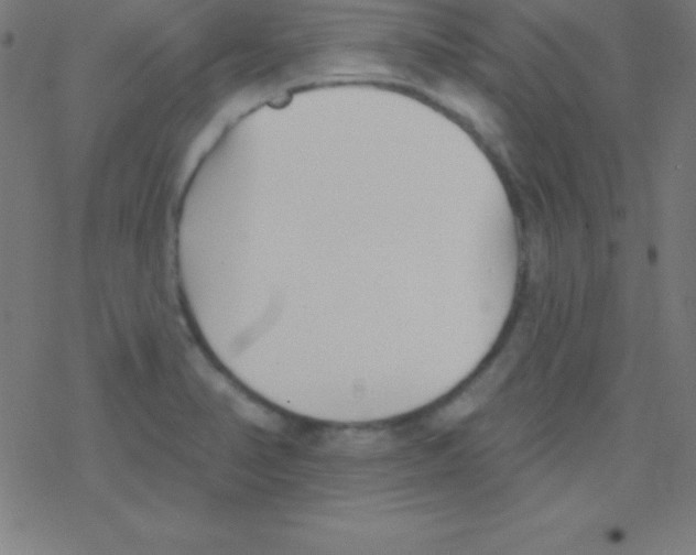 X0000078311374200612011849