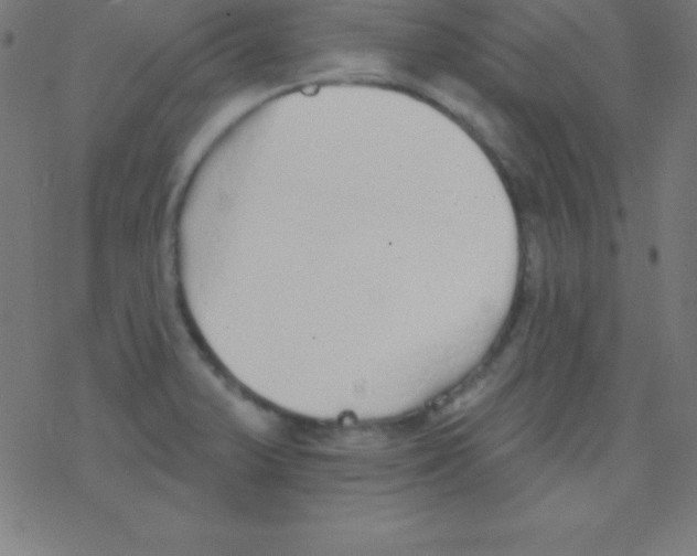 X0000078311375200612011849