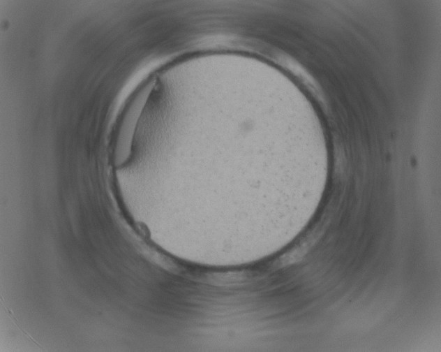 X0000078311376200612011849