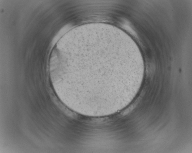 X0000078311378200612011849