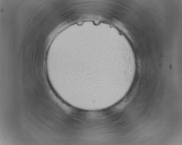 X0000078311379200612011849