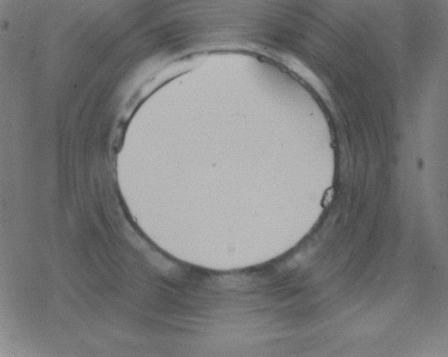 X0000078311380200612011849