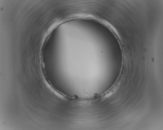 X0000078311381200612011849