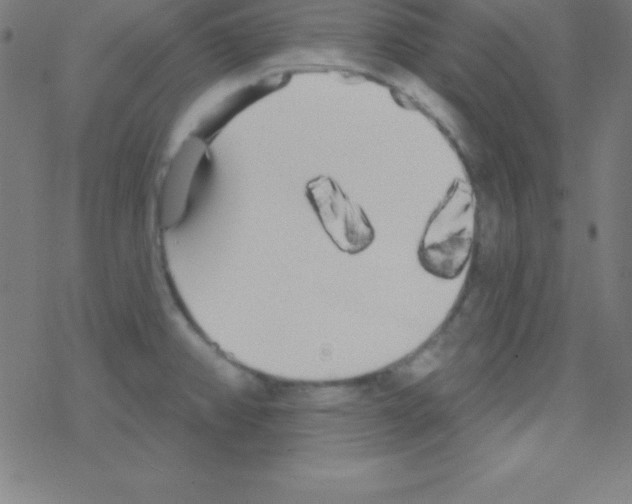 X0000078311382200612011849