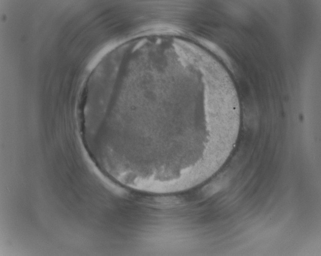 X0000078311383200612011849