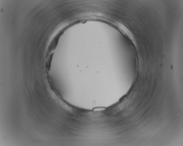 X0000078311384200612011849